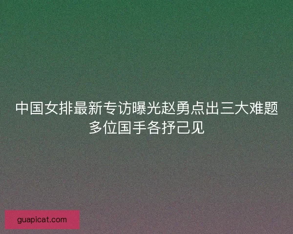 中国女排最新专访曝光赵勇点出三大难题多位国手各抒己见