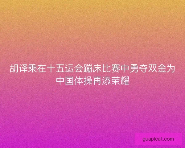 胡译乘在十五运会蹦床比赛中勇夺双金为中国体操再添荣耀 胡译乘在十五运会蹦床比赛中勇夺双金为中国体操再添荣耀
