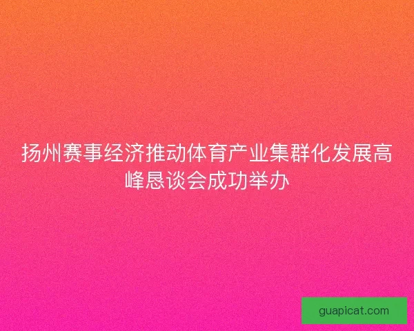 扬州赛事经济推动体育产业集群化发展高峰恳谈会成功举办 扬州赛事经济推动体育产业集群化发展高峰恳谈会成功举办